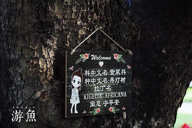 一场赛事带火一座城！山东男排主场赛事全记录