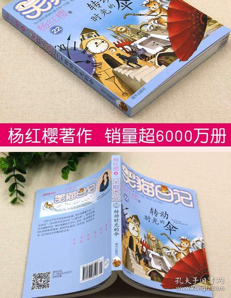 拯救受伤的猫